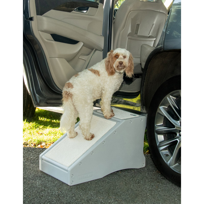 Pet gear ramp stair and ramp combination best sale